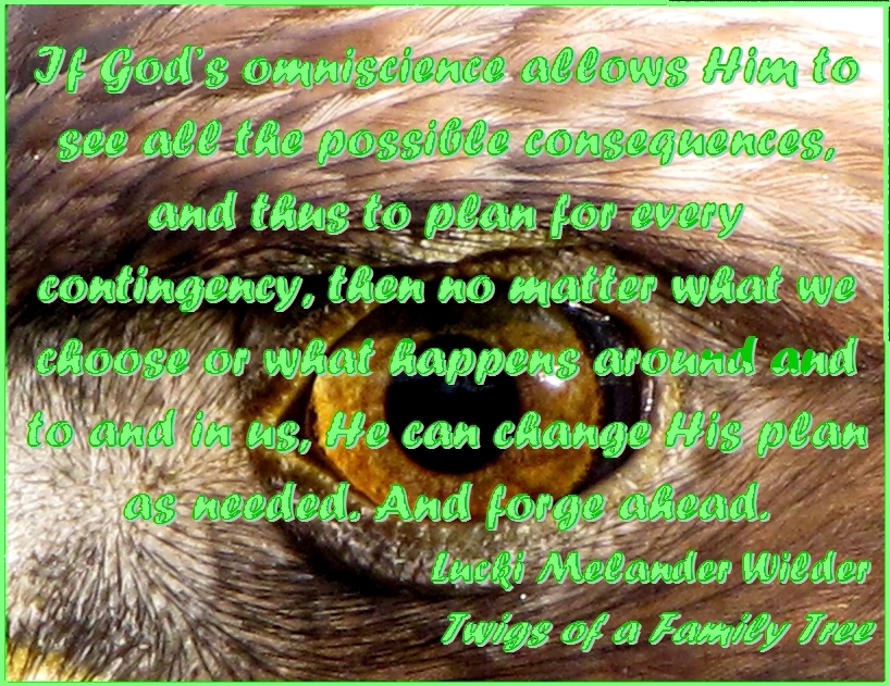 If God's omniscience allows Him to see all the possible consequences, and thus to plan for every contingency, then no matter what we choose or what happens around and to and in us, He can change His plan as needed. And forge ahead. #Omniscience #God #TwigsOfAFamilyTree